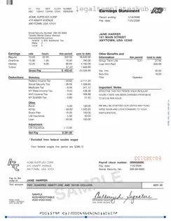 Blank Adp Pay Stub PDF Form